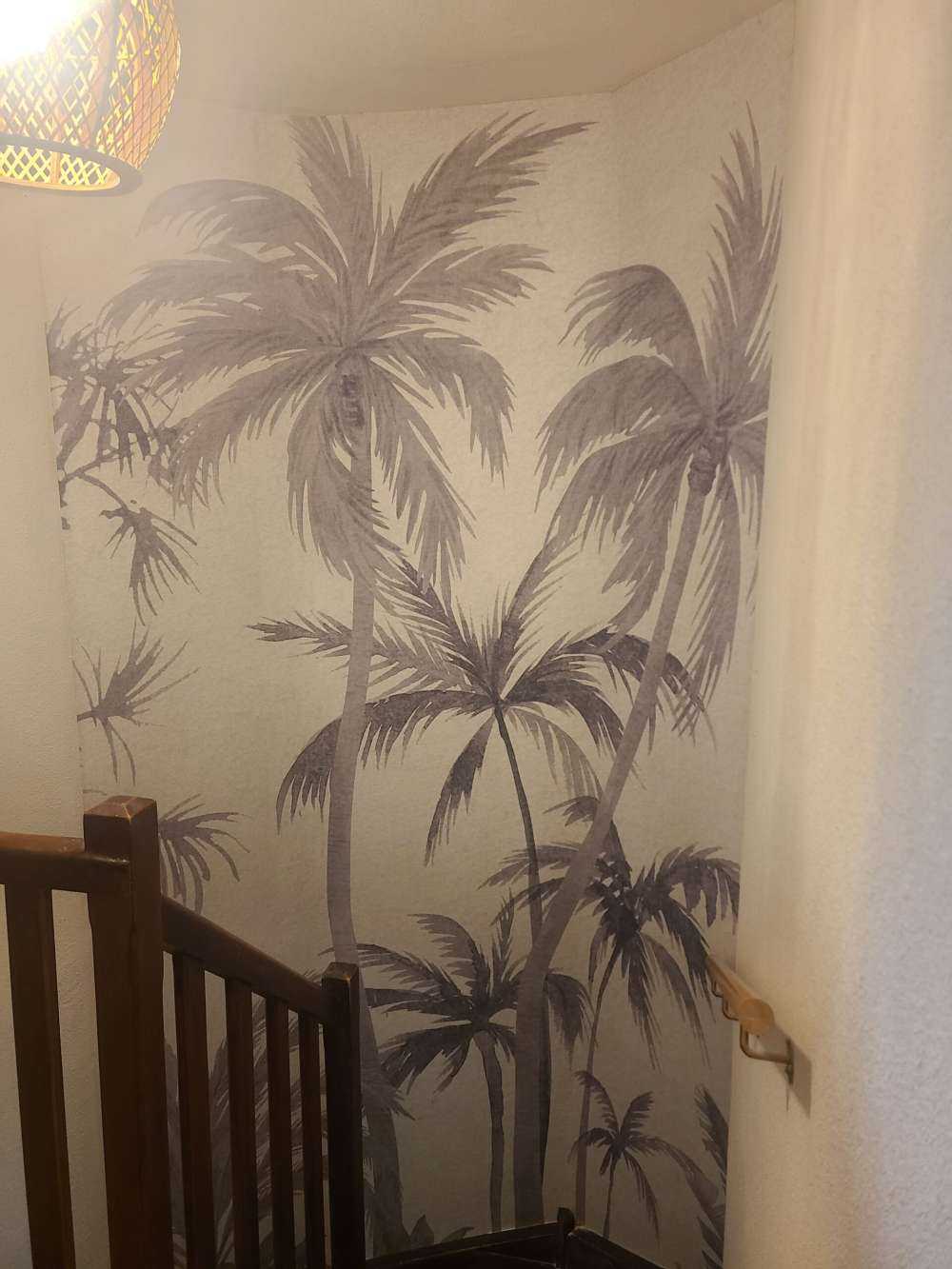 Forêt tropicale