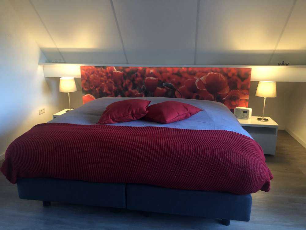 Des coquelicots dans un style sombre
