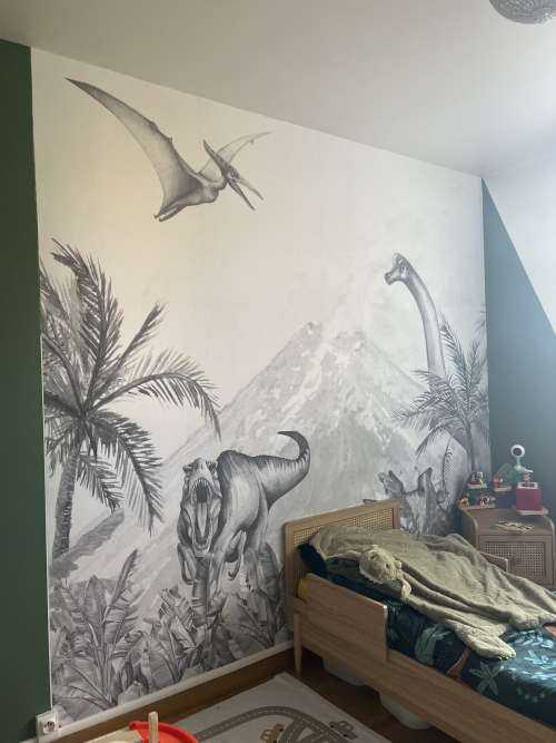 Dinos en noir et blanc