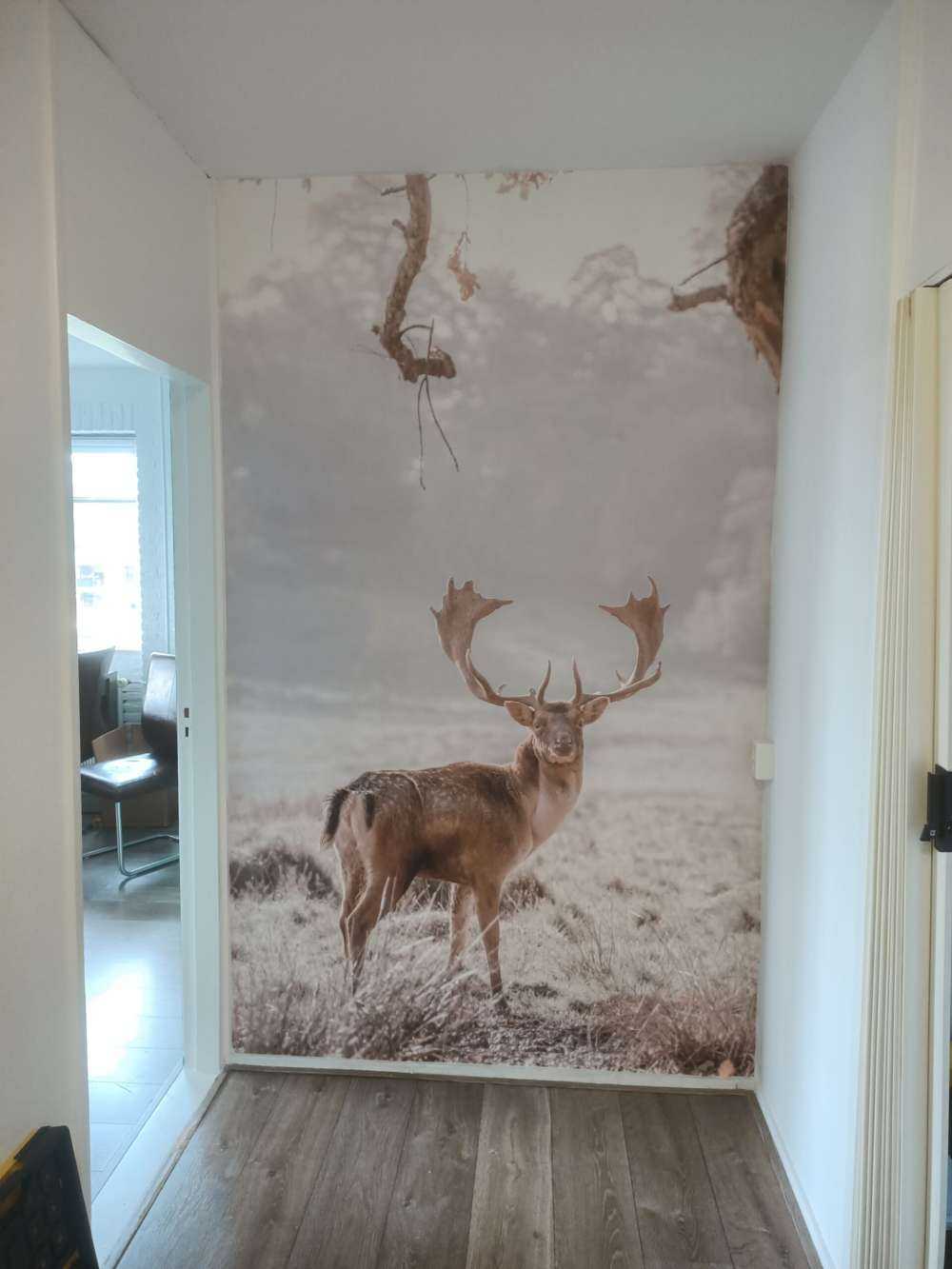 Cerf dans un champ