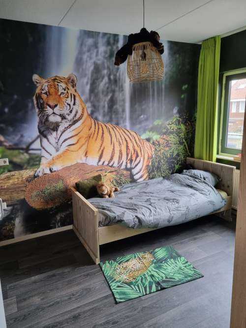 Tigre dans la jungle