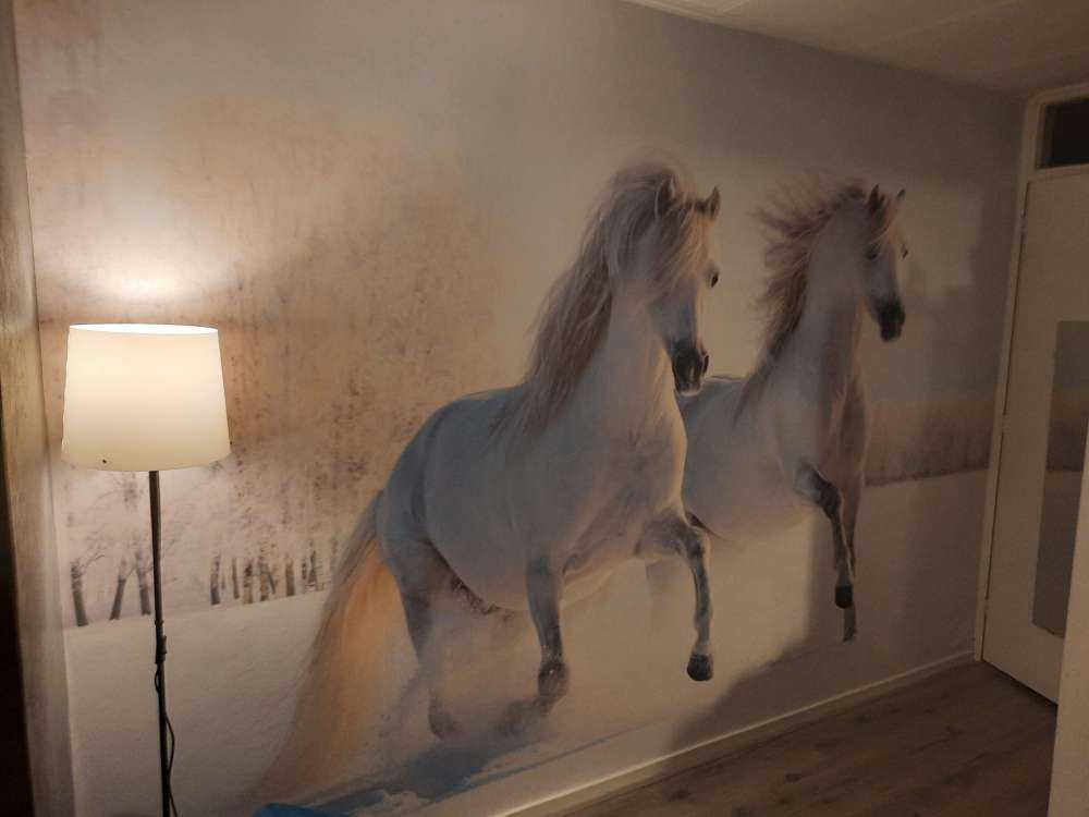 Chevaux dans la neige