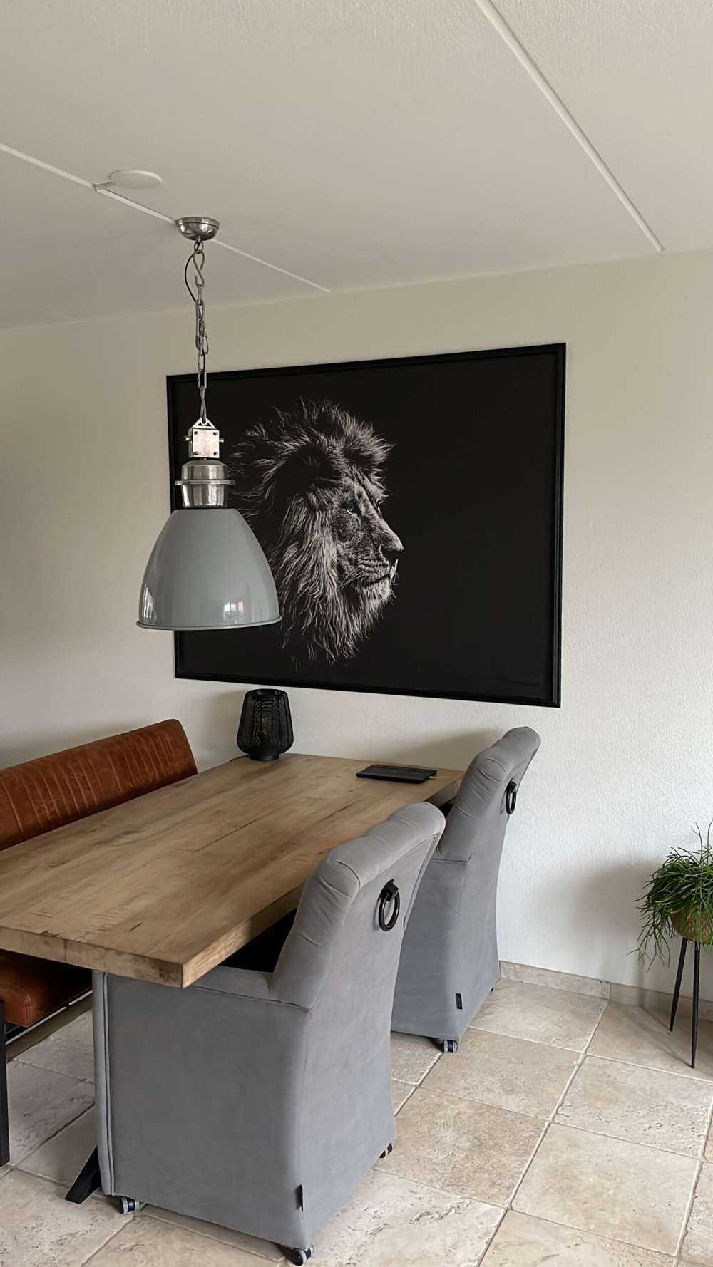 Lion aux yeux bleus
