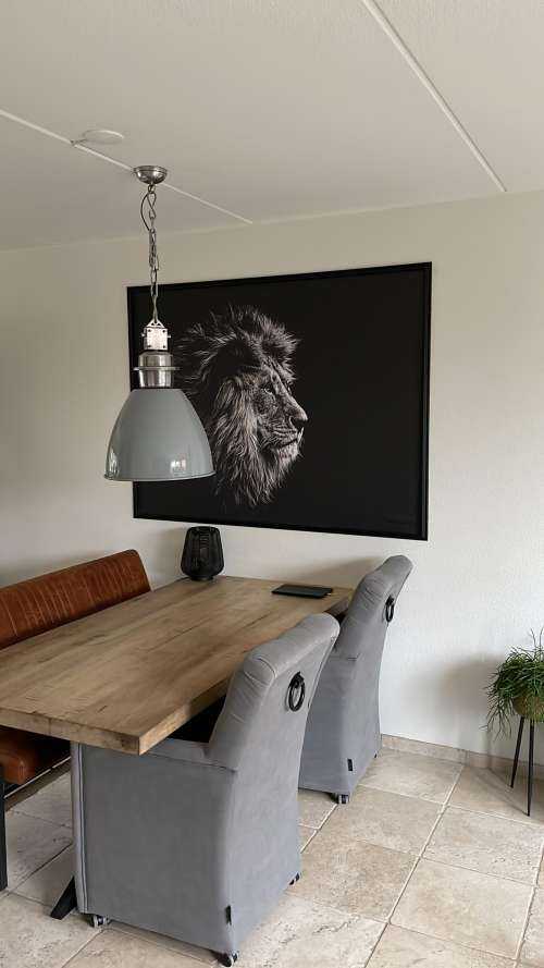 Lion aux yeux bleus