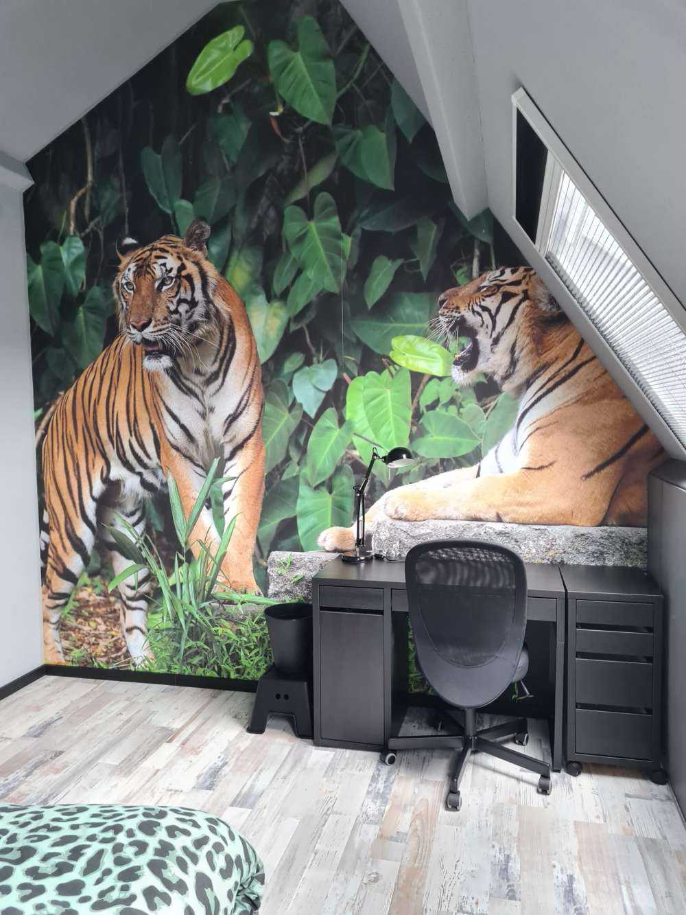 Tigre dans la jungle