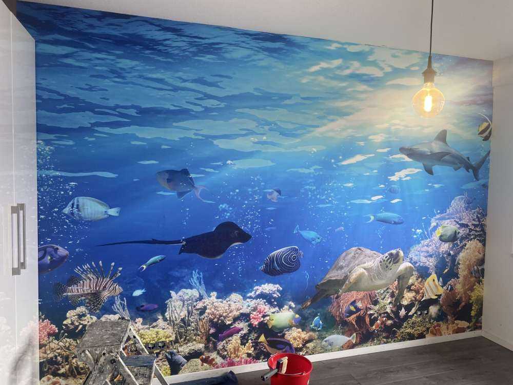 Poissons exotiques
