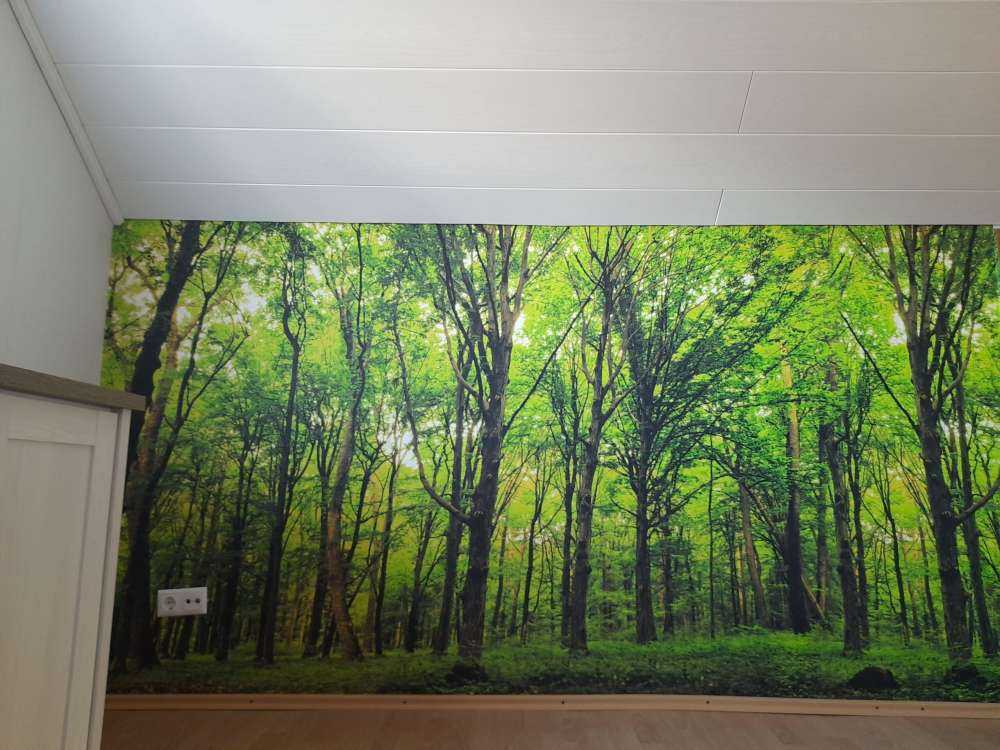 Forêt luxuriante