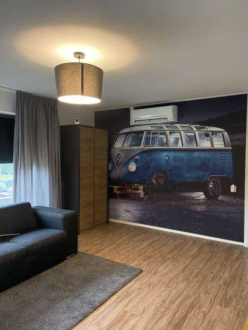 Camionette VW