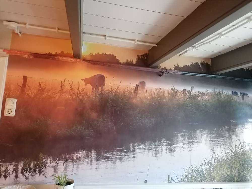 Des vaches dans la prairie