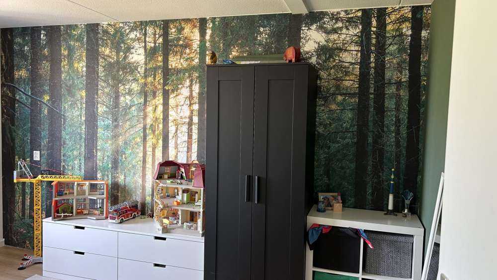 Une forêt tranquille