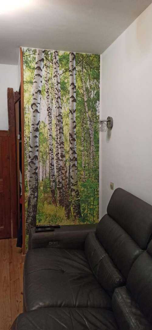 Troncs d'arbres