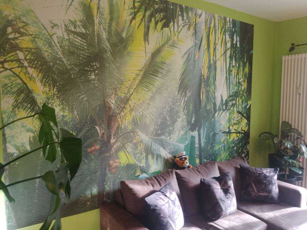 Dans la forêt tropicale