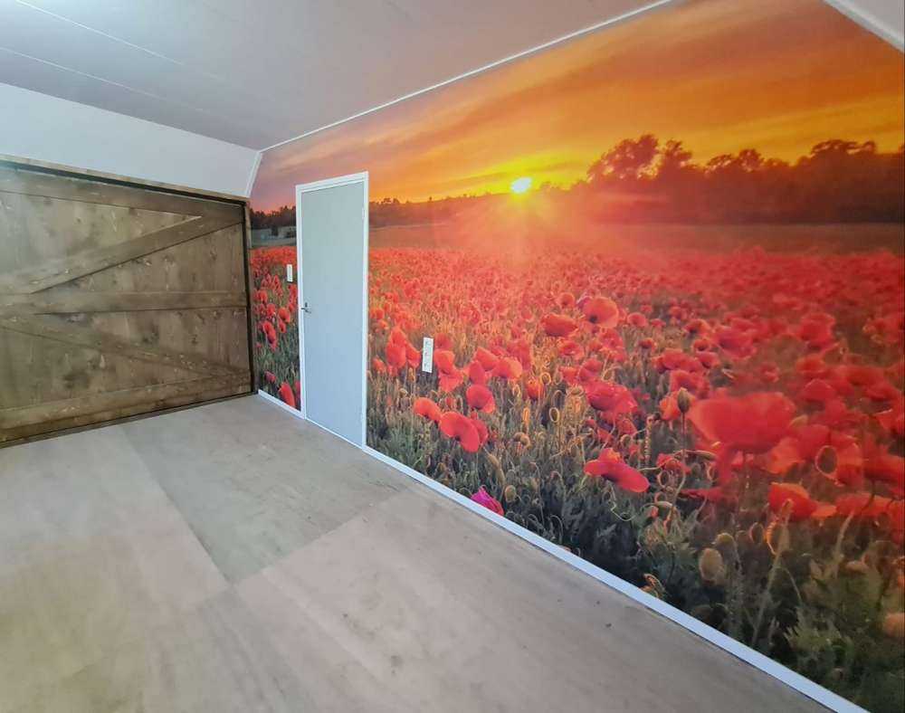 Champ de coquelicots en fleurs