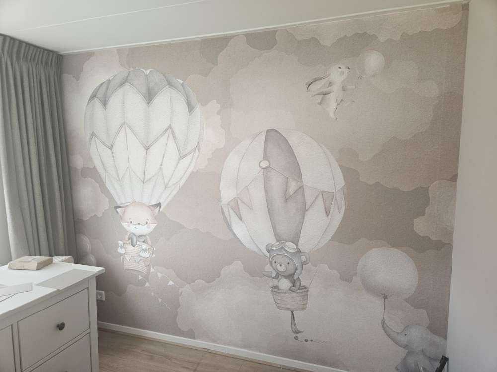 Voyage en mongolfière taupe