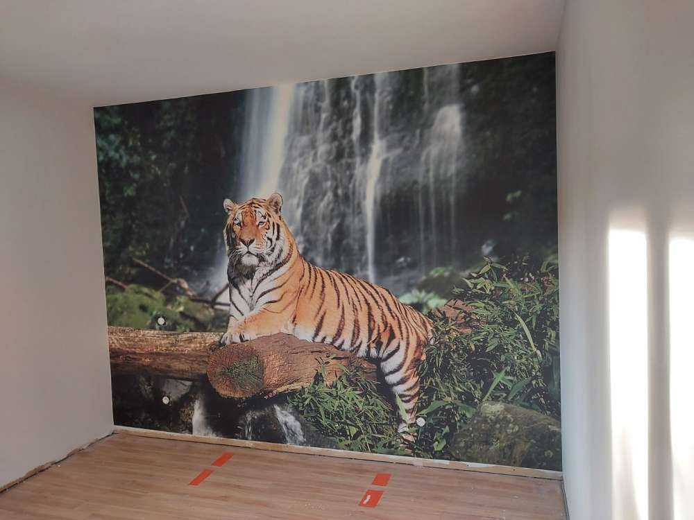 Tigre dans la jungle