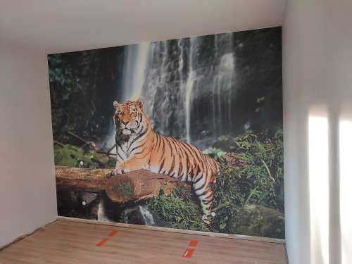 Tigre dans la jungle