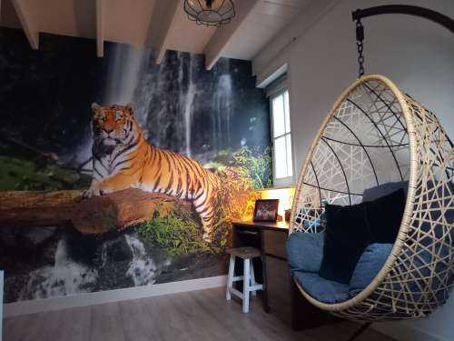 Tigre dans la jungle