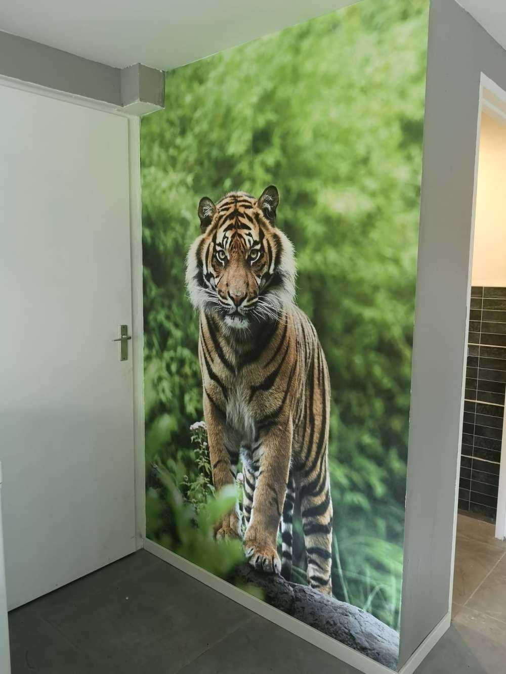 Tigre debout sur une pierre