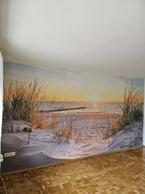 Plage de dunes avec coucher de soleil