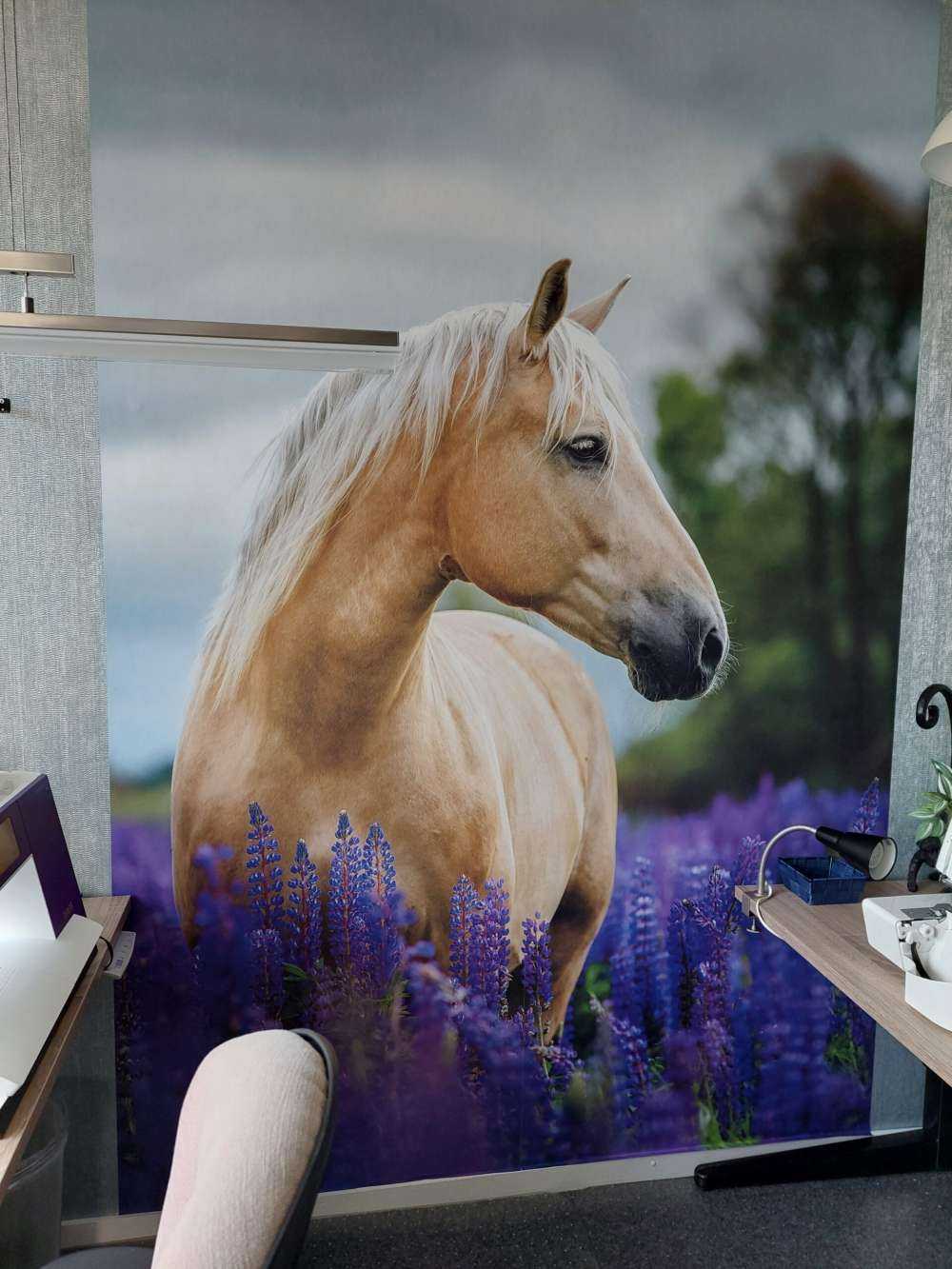 Cheval parmi les fleurs de papillon