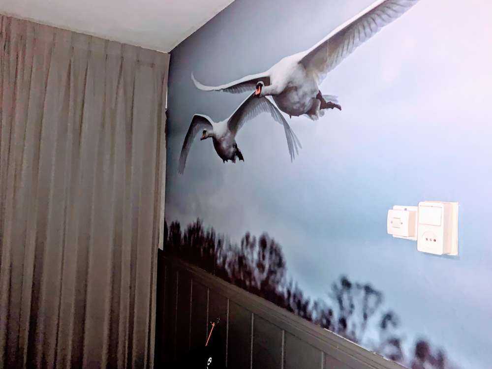 Cygne volant