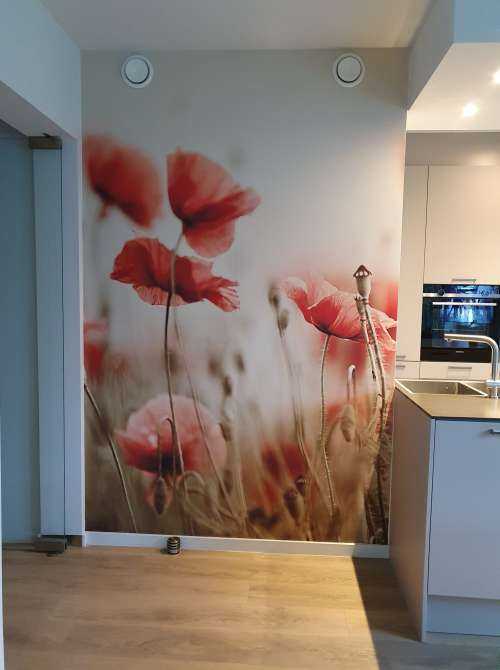 Des coquelicots de rêve