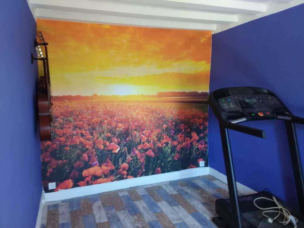 Coquelicots et coucher de soleil