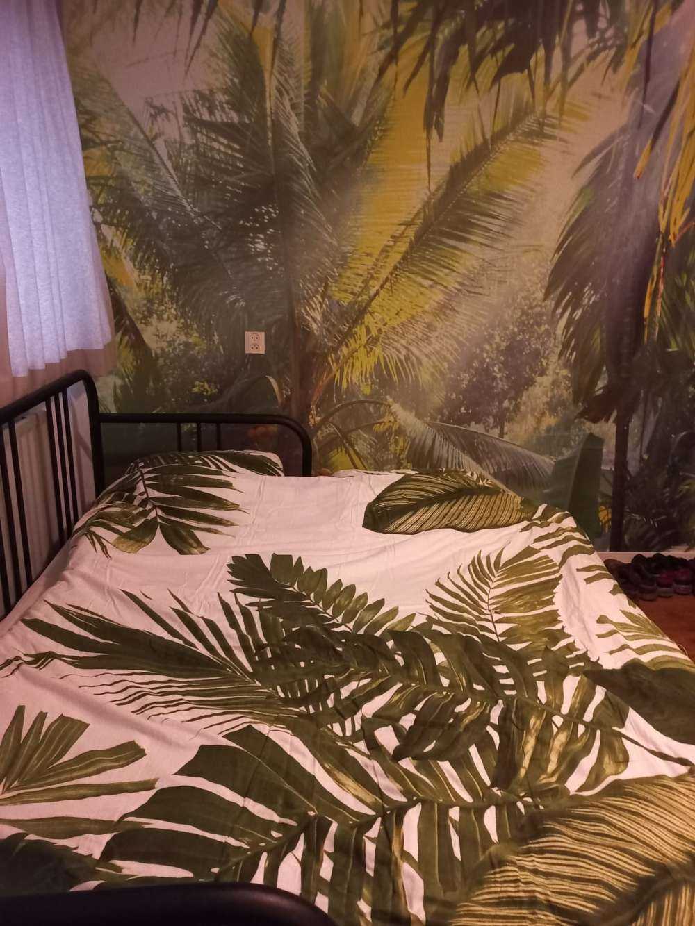 Dans la forêt tropicale