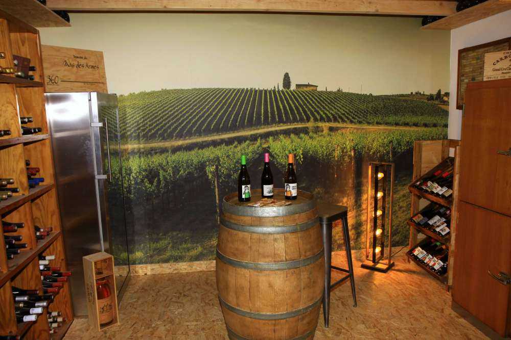 vignoble toscan