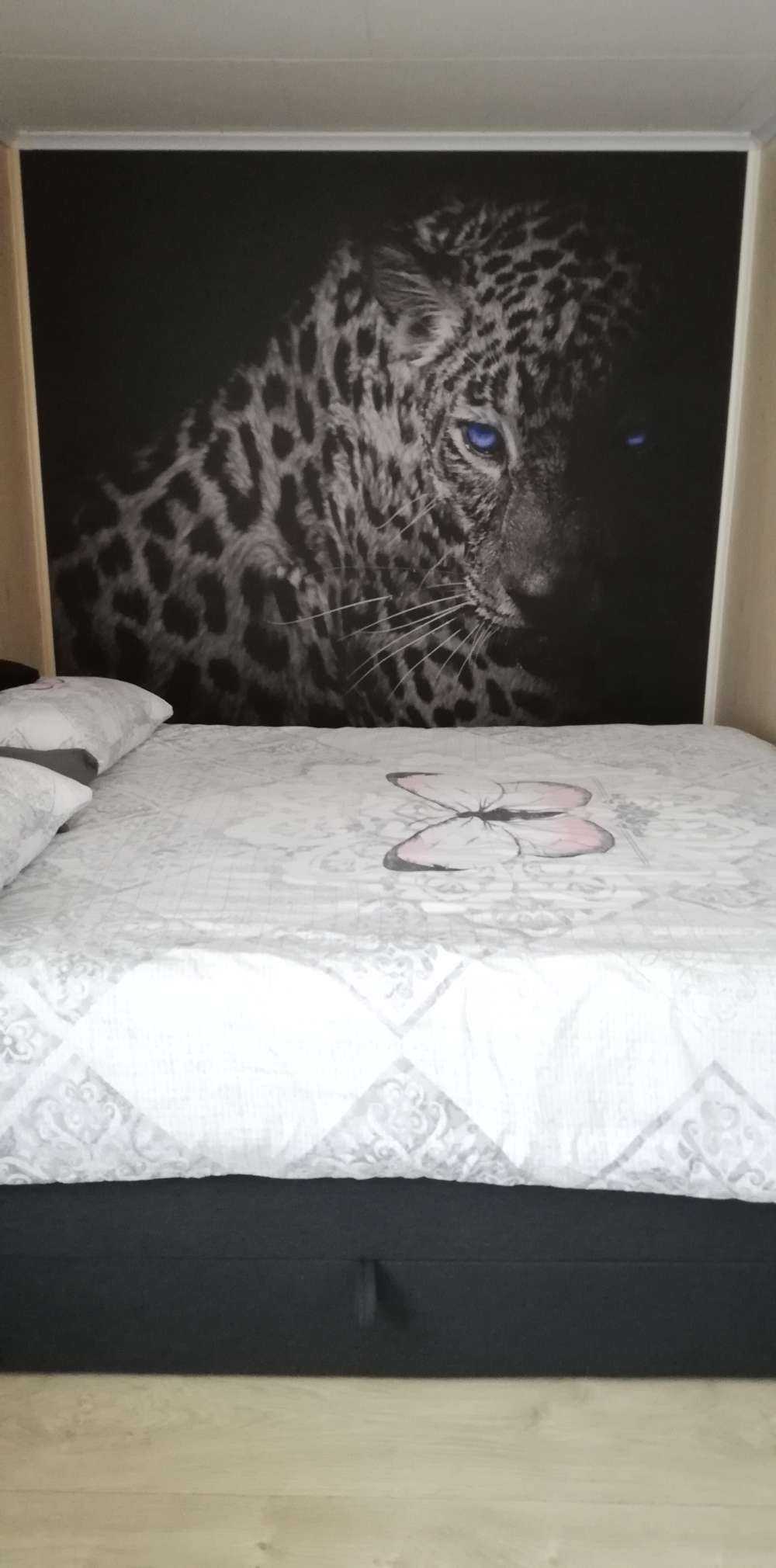 Léopard fond noir