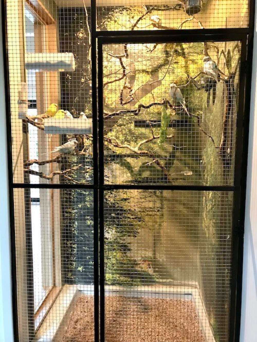 Des rayons de soleil à travers les arbres
