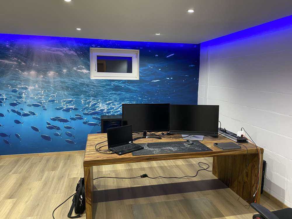 Banc de poissons