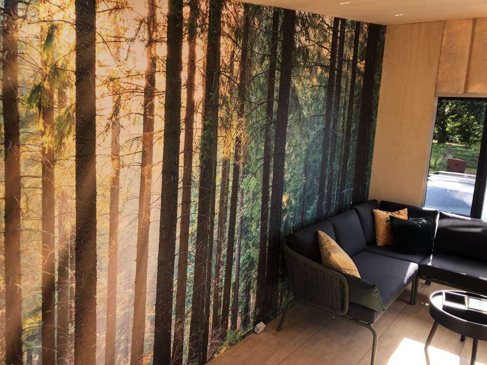 Une forêt tranquille