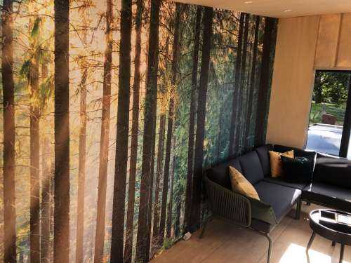 Une forêt tranquille