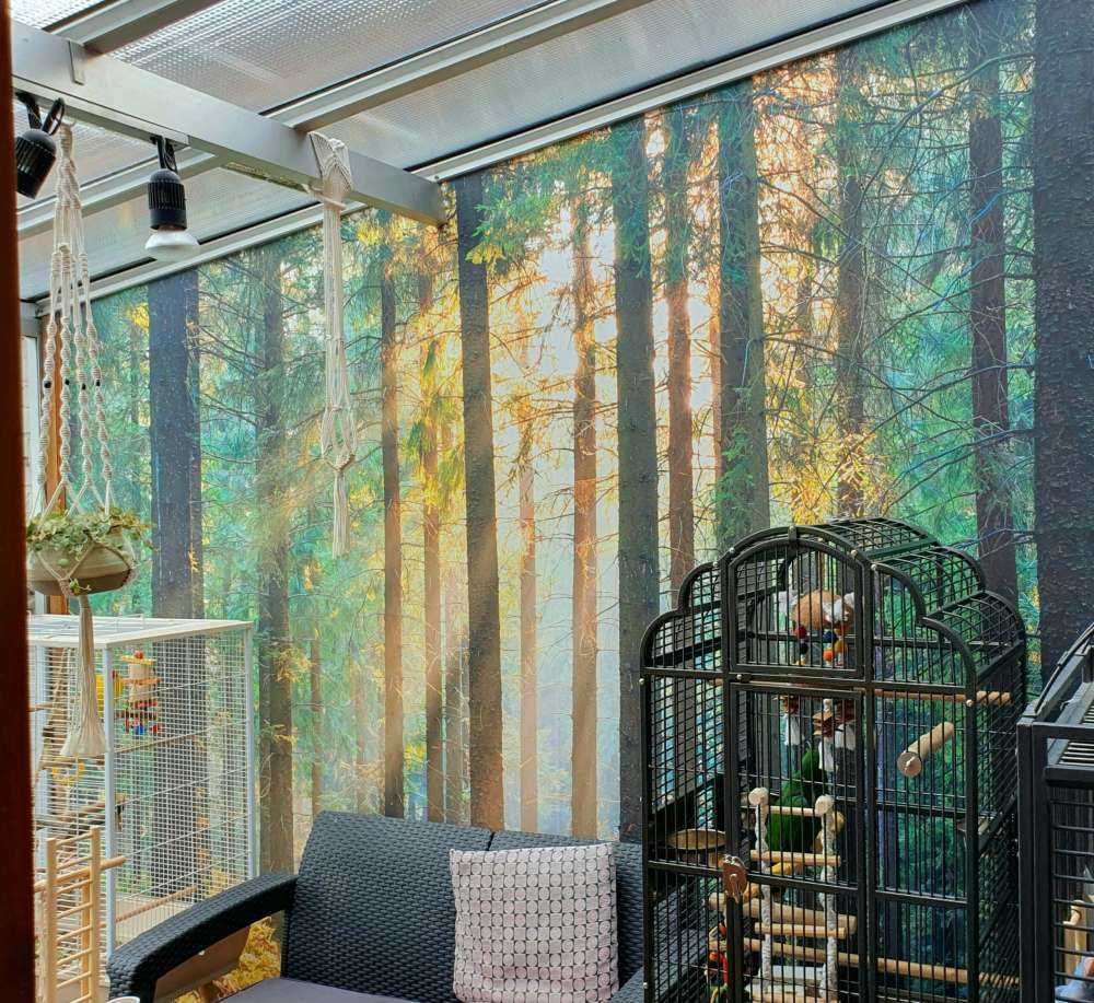 Une forêt tranquille