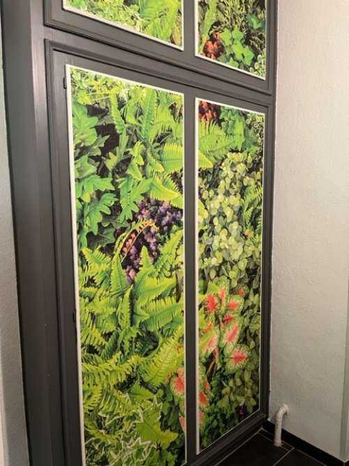 Mélange de plantes