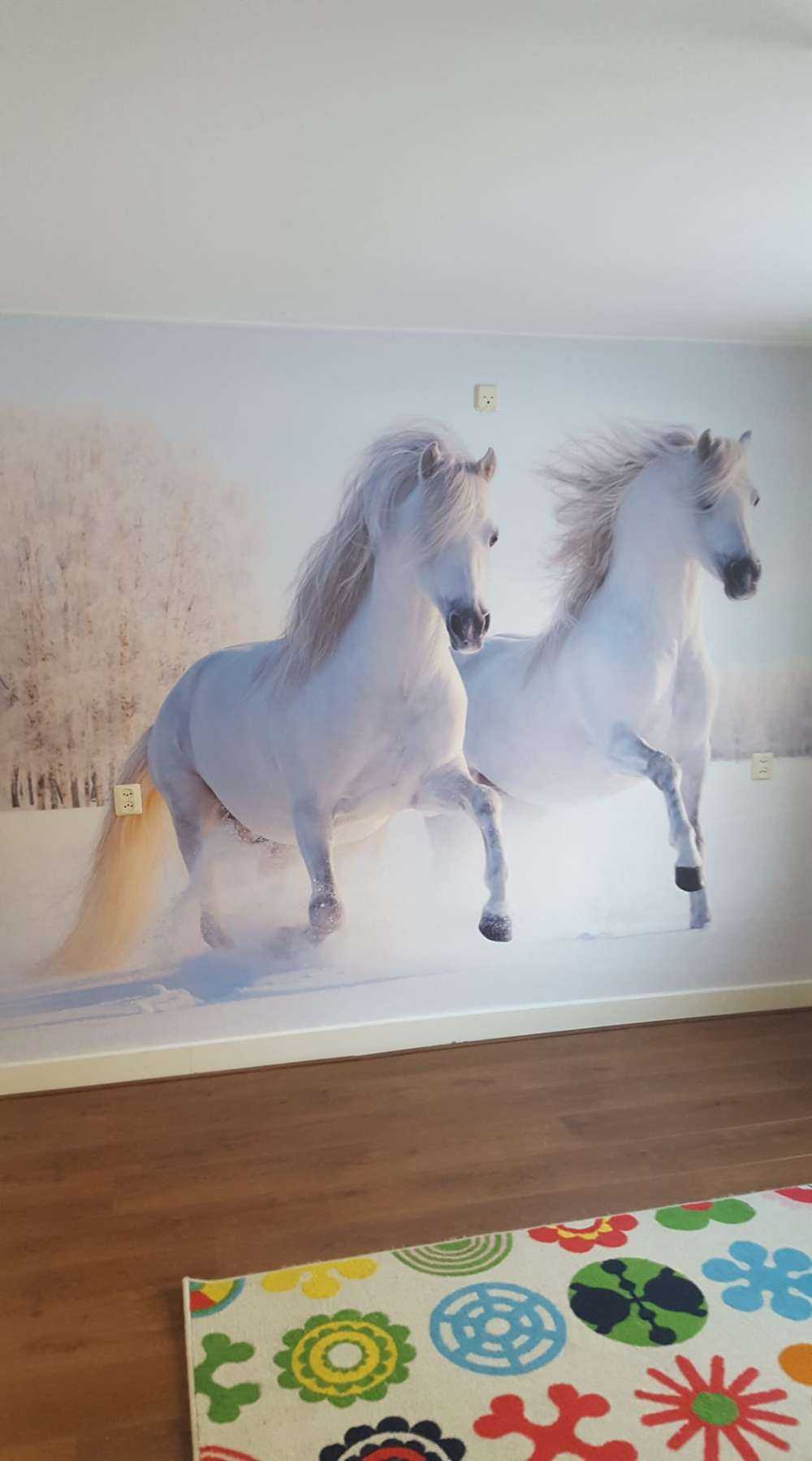 Chevaux dans la neige
