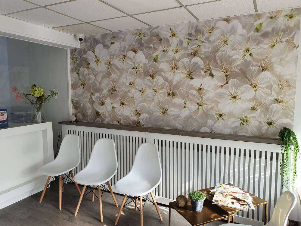 Fleur de cerisier