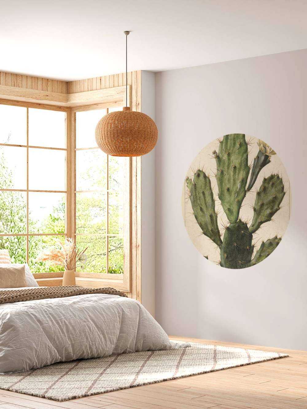 Cactus figuier à fleurs