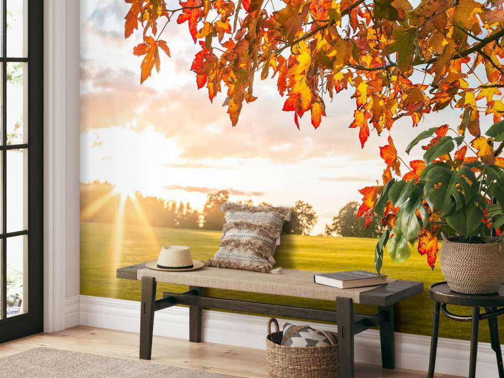 Arbre d'automne au coucher du soleil