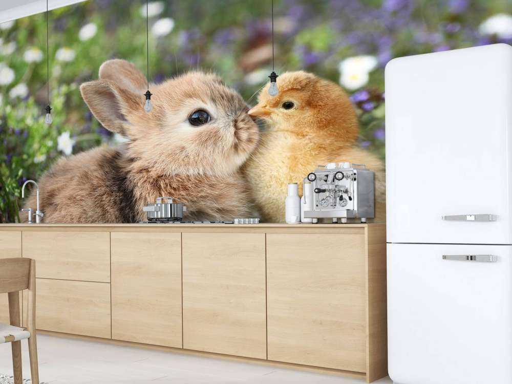 Lapin et poussin