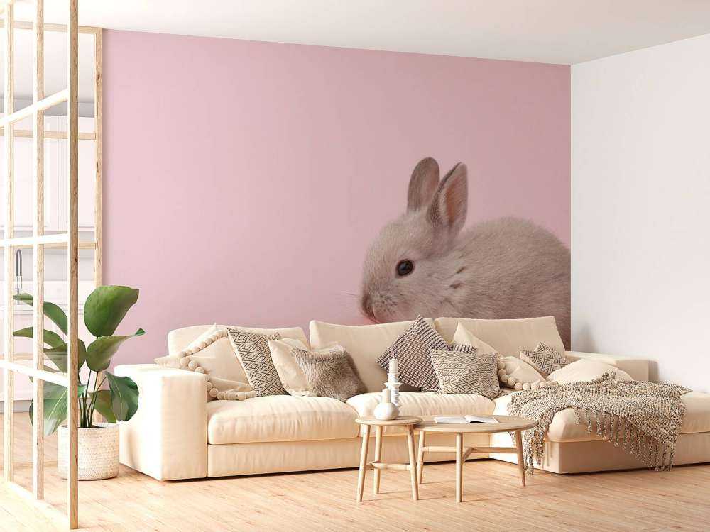 Lapin avec un œuf