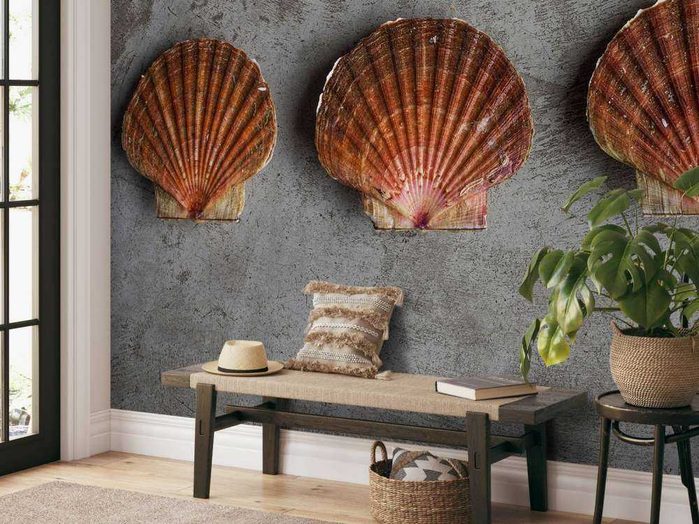 Trois coquilles