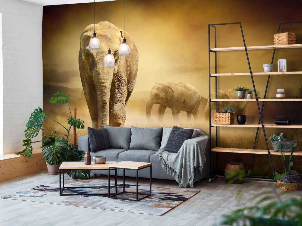 Trois éléphants