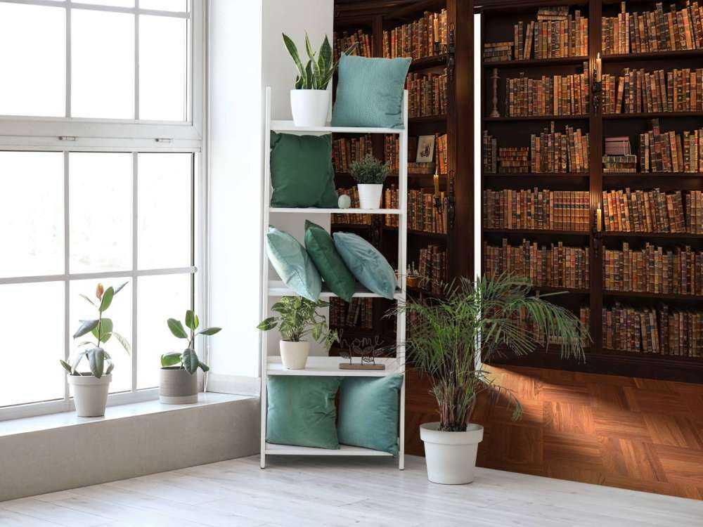 Bibliothèque secrète avec porte cachée