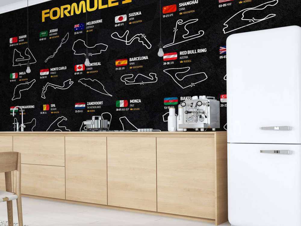 Formule 1 2024 - Carte des gagnants