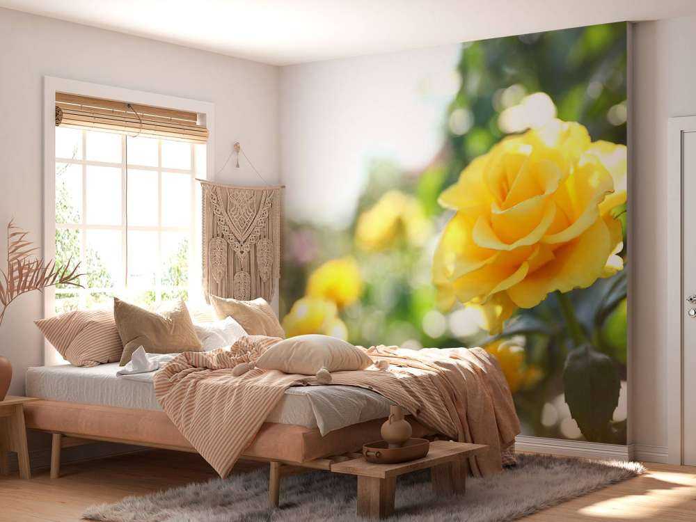 Roses jaunes