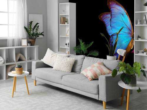 Papillon sur tulipe