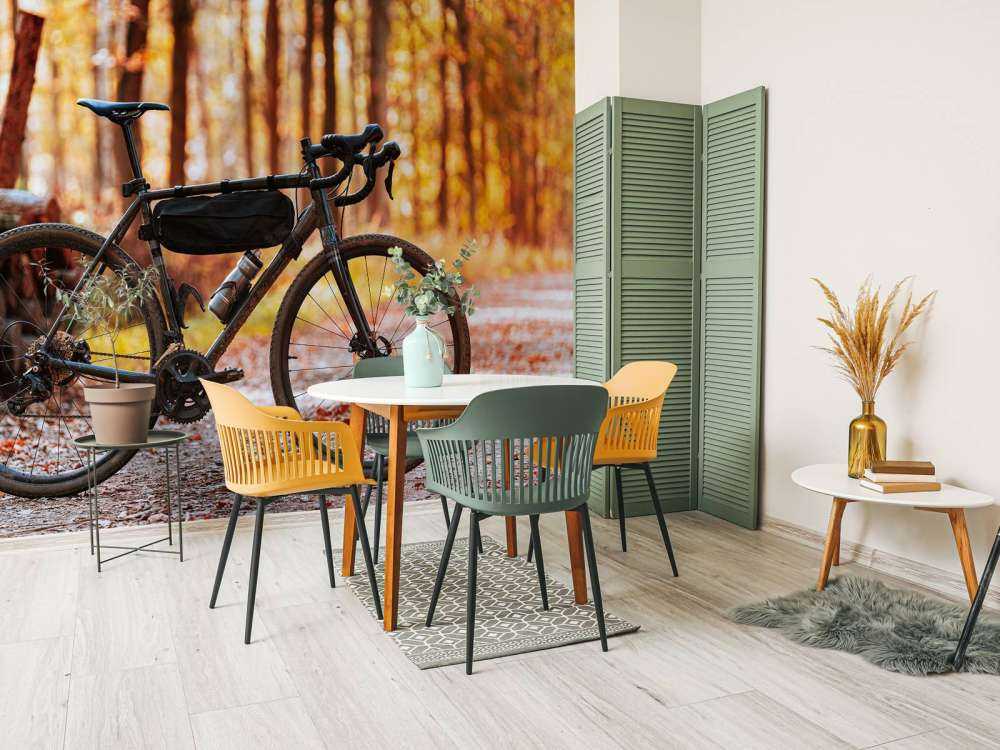 Vélo en automne