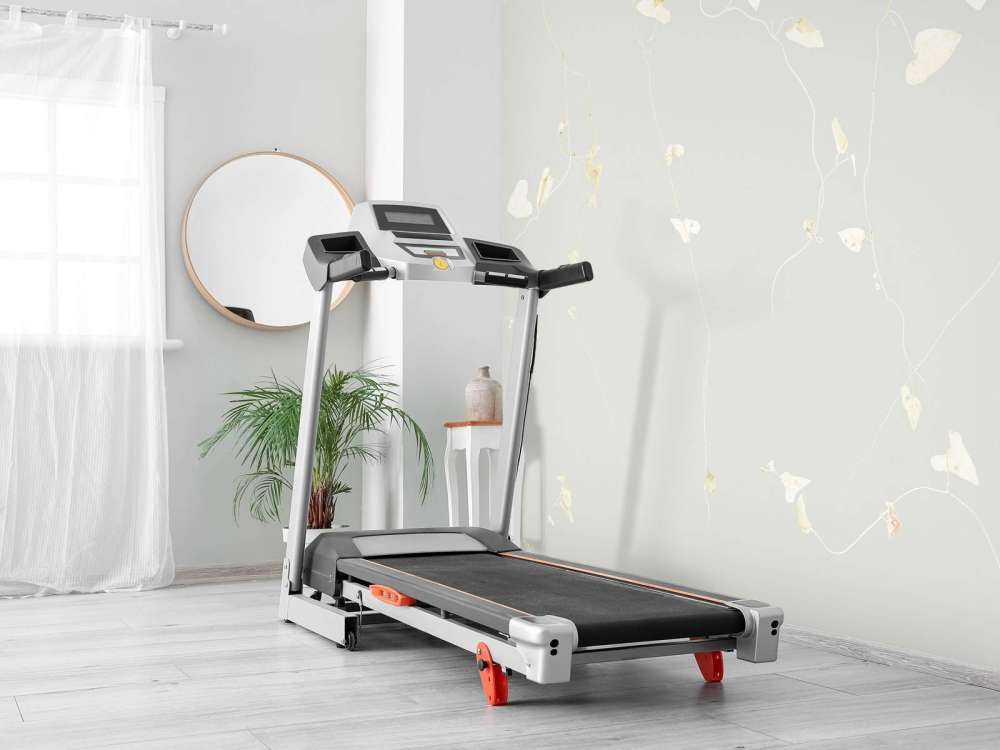 Charme commun brumeux